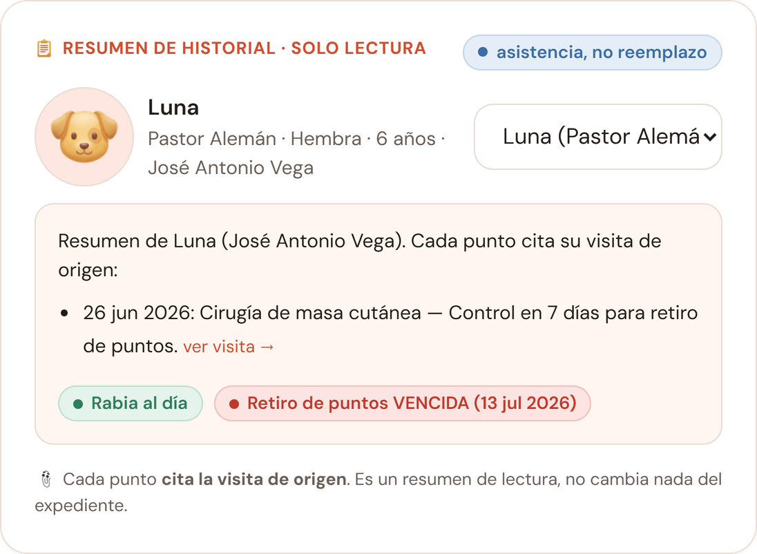 Resumen de historial de Luna, sólo lectura, citando la visita de origen de cada punto