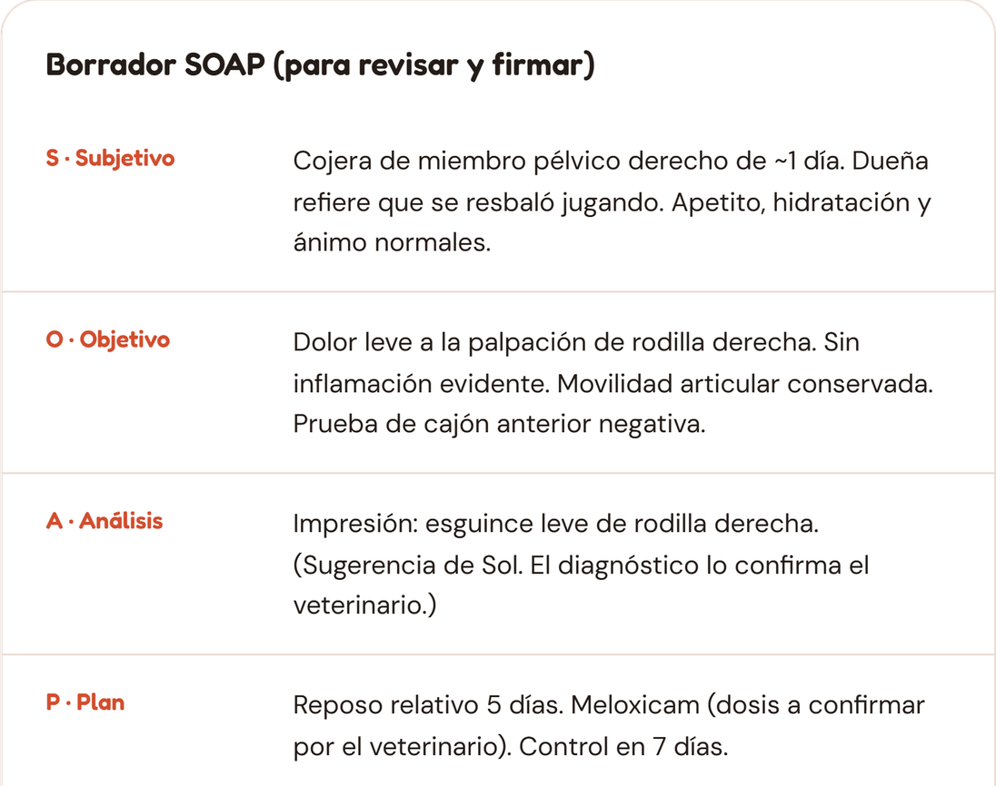 Borrador SOAP que Sol armó de una consulta dictada: subjetivo, objetivo, análisis y plan