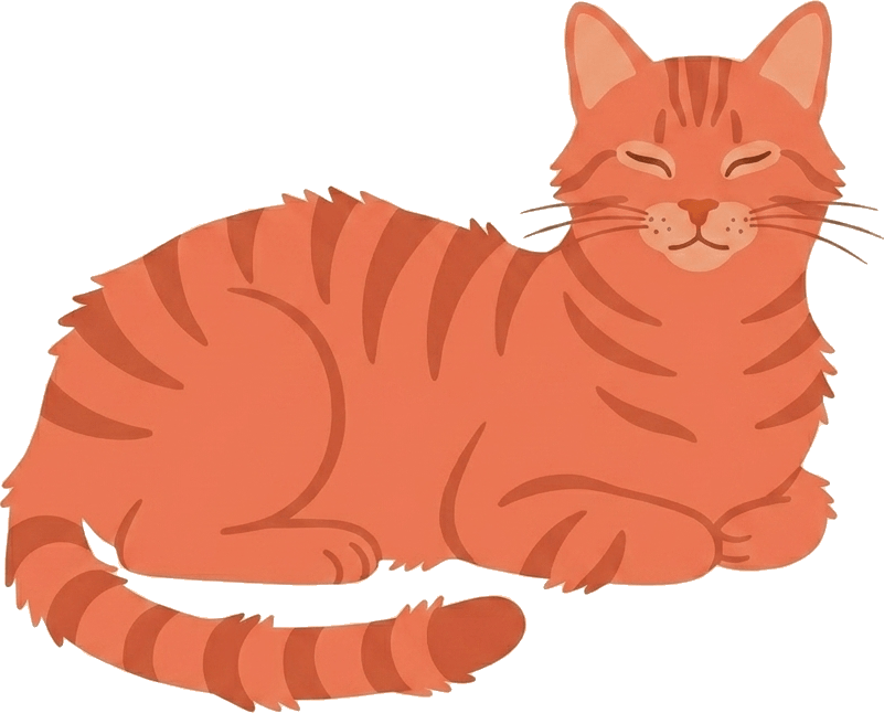 Sol, la gata de Nimo, estirándose